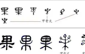 莎拉波娃赛事规则更新细节曝光的简单介绍